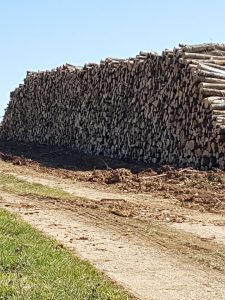 Tas de bois de chauffage