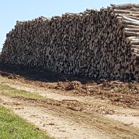 Tas de bois de chauffage